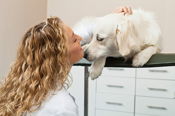 consejos seguridad alarmas